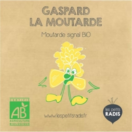 Mini kit de graines BIO de Gaspard la moutarde - Les petits radis | Achetez sur Everykid.com