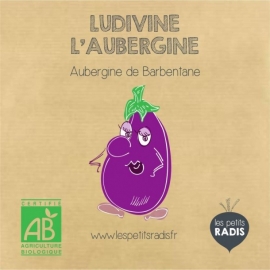 Mini kit de graines BIO de Ludivine l'aubergine - Les petits radis | Achetez sur Everykid.com