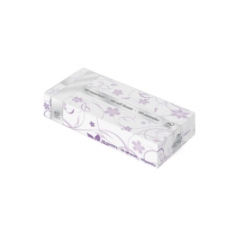 Boîte mouchoirs rectangulaire 100 formats 2 plis (carton de 40 boites) - Argos | Achetez sur Everykid.com