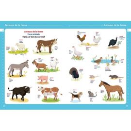 Mon premier imagier français anglais allemand - Auzou | Achetez sur Everykid.com Mon premier imagier français anglais allemand - Auzou | Achetez sur Everykid.com