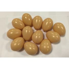 Lot de 12 œufs bruns - Berrous | Achetez sur Everykid.com Lot de 12 œufs bruns - Berrous | Achetez sur Everykid.com
