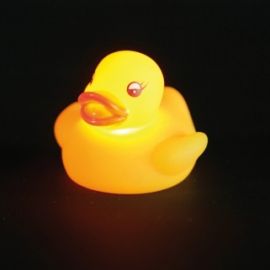 Canard lumineux - HOP TOYS | Achetez sur Everykid.com