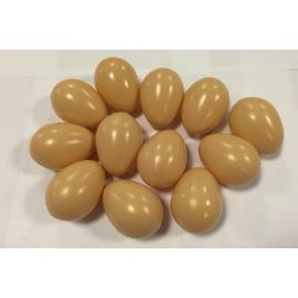 Lot de 12 œufs bruns - Berrous
