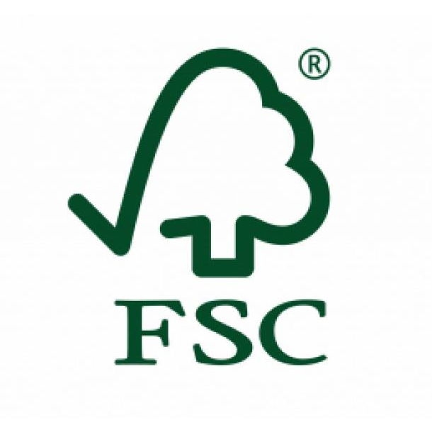 logo_fsc.jpg